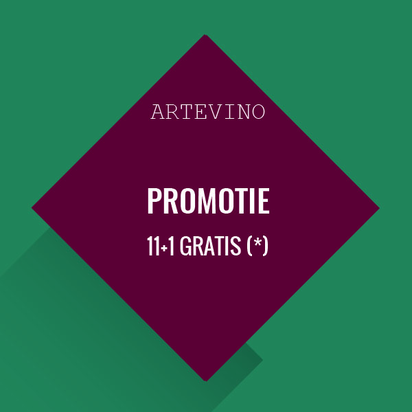 OPEN FLESSEN PROMOTIE