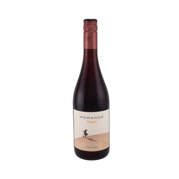Morande Pionero Pinot Noir-44