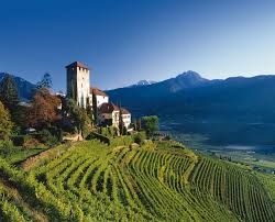 wine italy