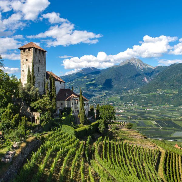 wine regions italy