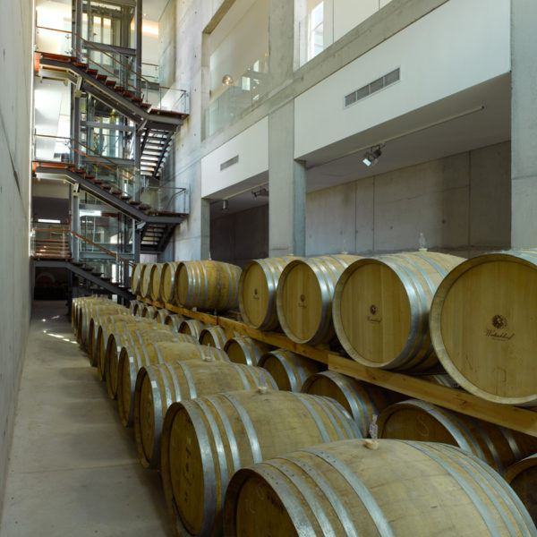 waterkloof-cellar