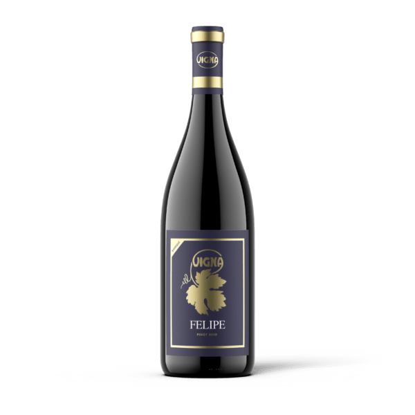 vigna-wijn-rood-felipe