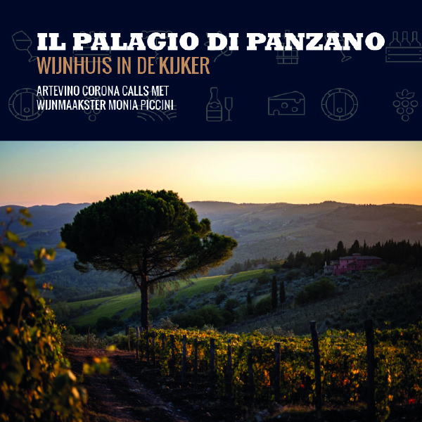 Il Palagio di Panzano – Artevino website