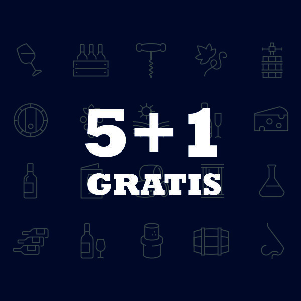 6+1 GRATIS