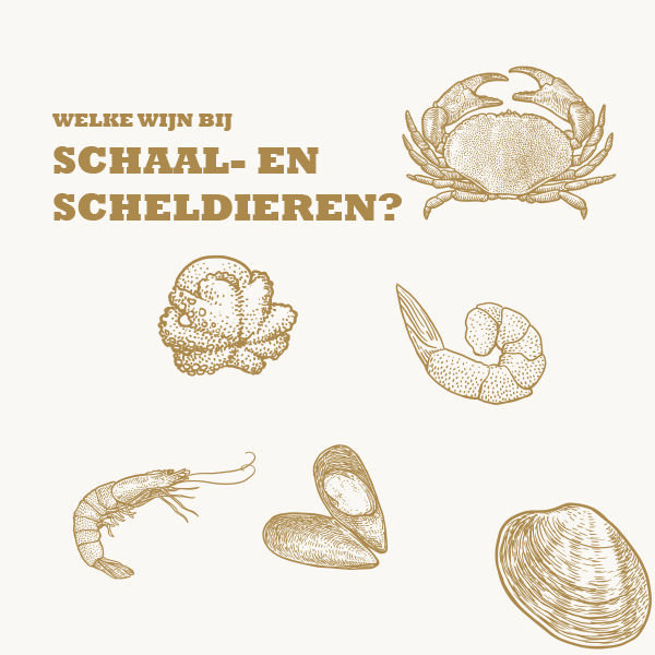 welke wijn bij schaal en schelpdieren