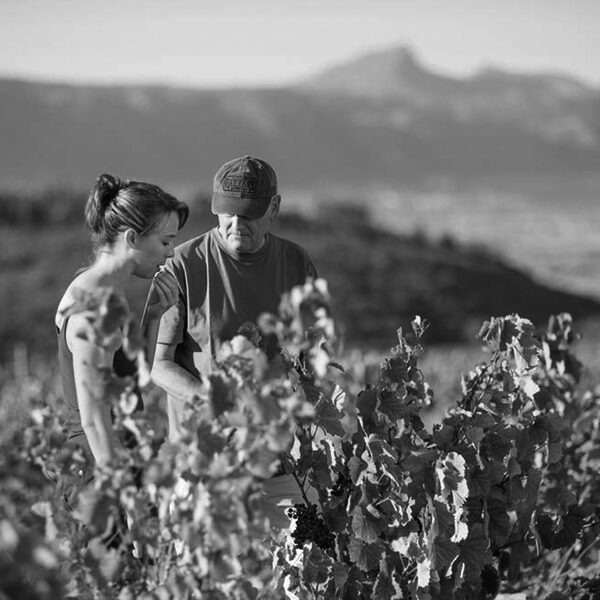 Paul Boutinot