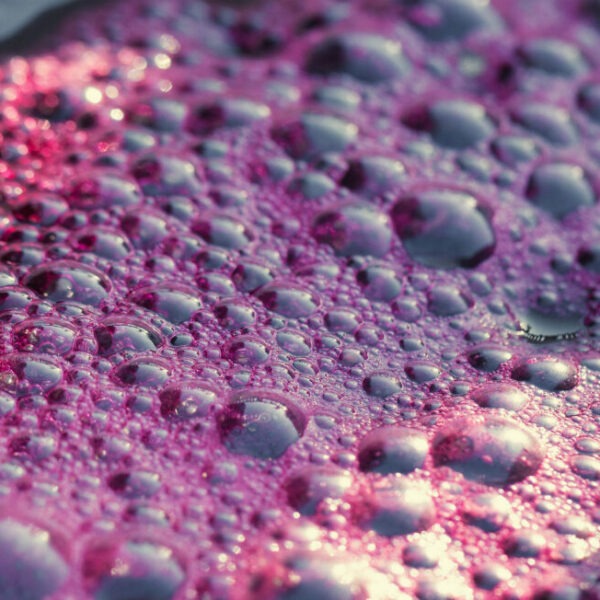 header juice Artevino