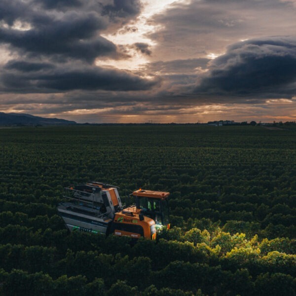 HARVEST