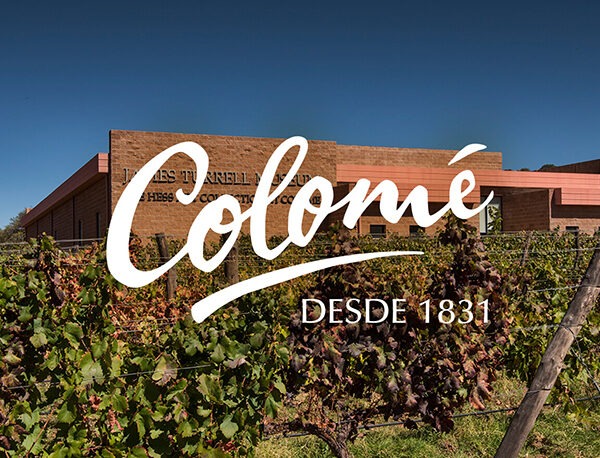 bodega-colome-argentina