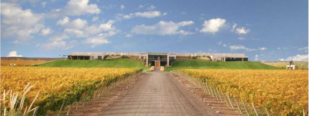 Bodega Malma