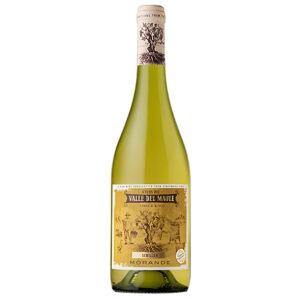 Morandé Terroir Wines Semillon 2025